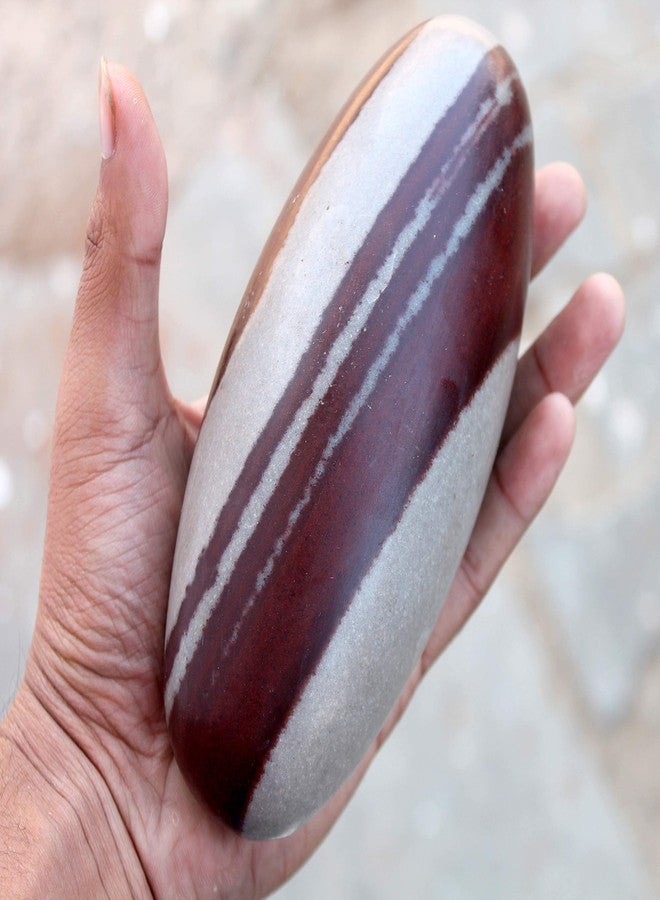 KLEO Esplanade Narmada Stone Narmadeshwar Shiv Ling, Shiva Lingam (5" Inches), Brown - Image 3